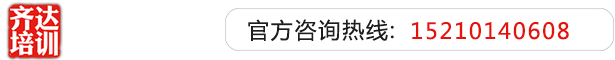 欧美大逼逼网齐达艺考文化课-艺术生文化课,艺术类文化课,艺考生文化课logo